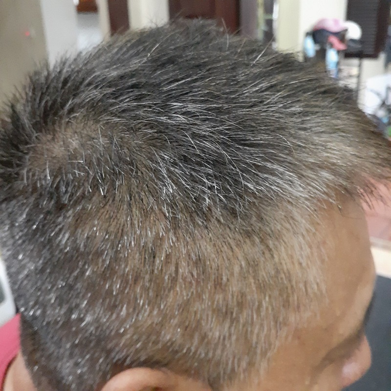 Dầu gội phủ bạc Collagen - Nhà Phân Phối Dầu Gội Thảo Dược ĐL Cosmetic